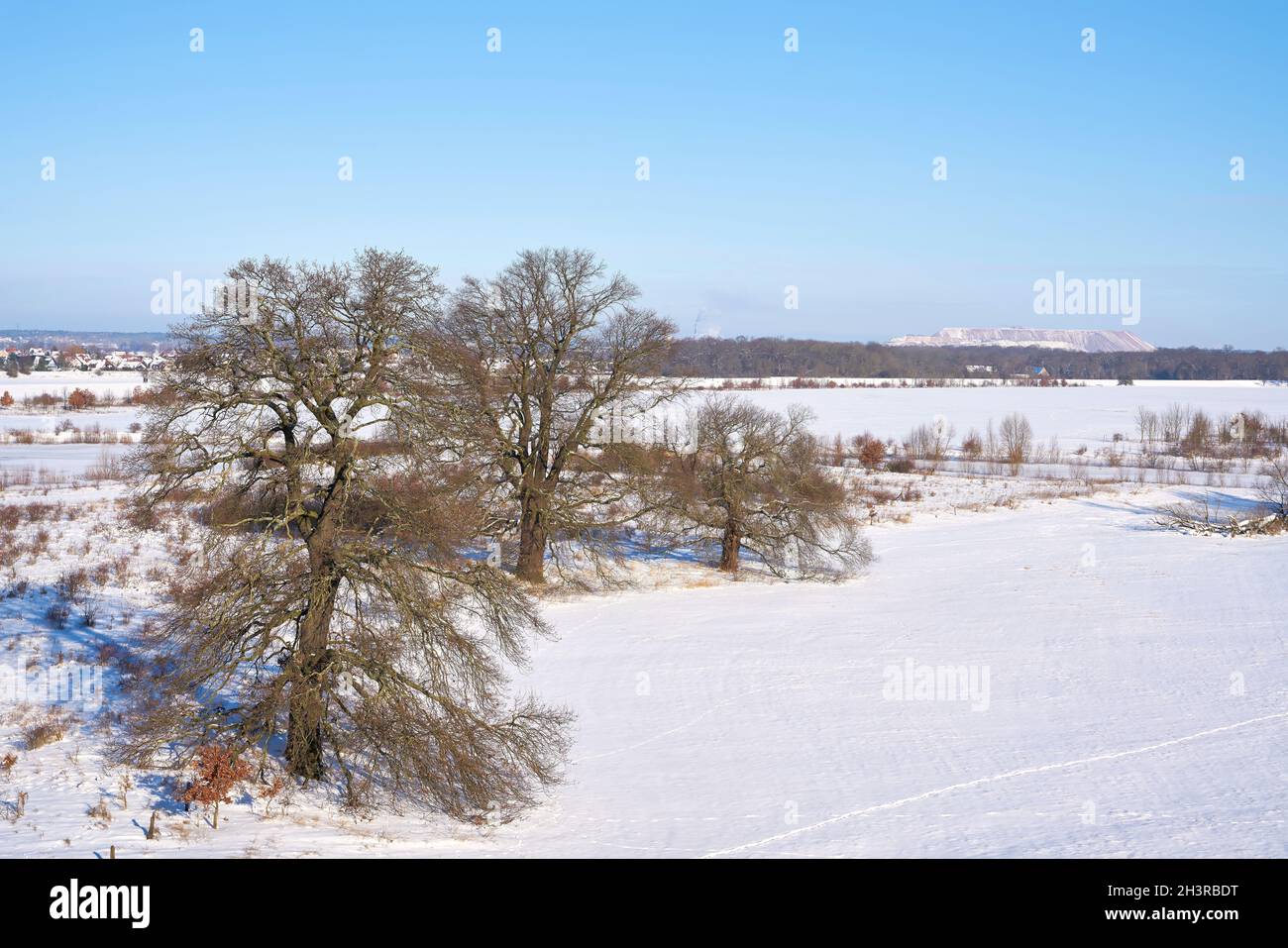 Landscape with trees on the bank of the river Elbe near the village Glindenberg in Winter Stock Photo
