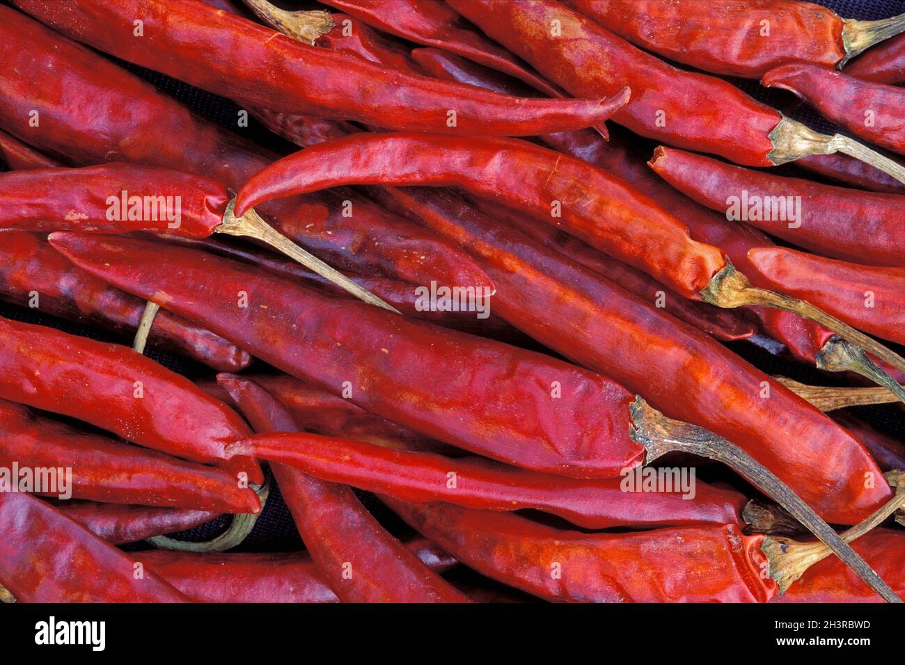 Nepal, Kathmandu, red chilli Stock Photo Alamy