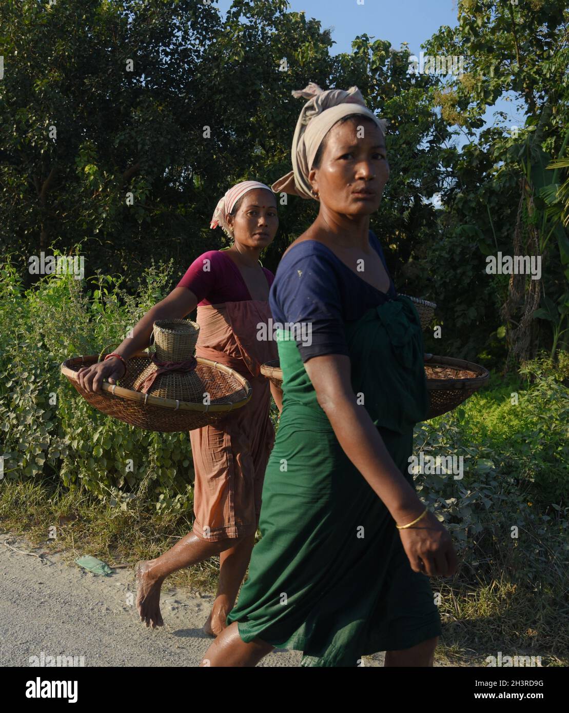 Bodo community women searching fish in a mud water field using traditional fishing  equipment Jakoi at a village on September 15, 2021 in Baksa, India Stock  Photo - Alamy