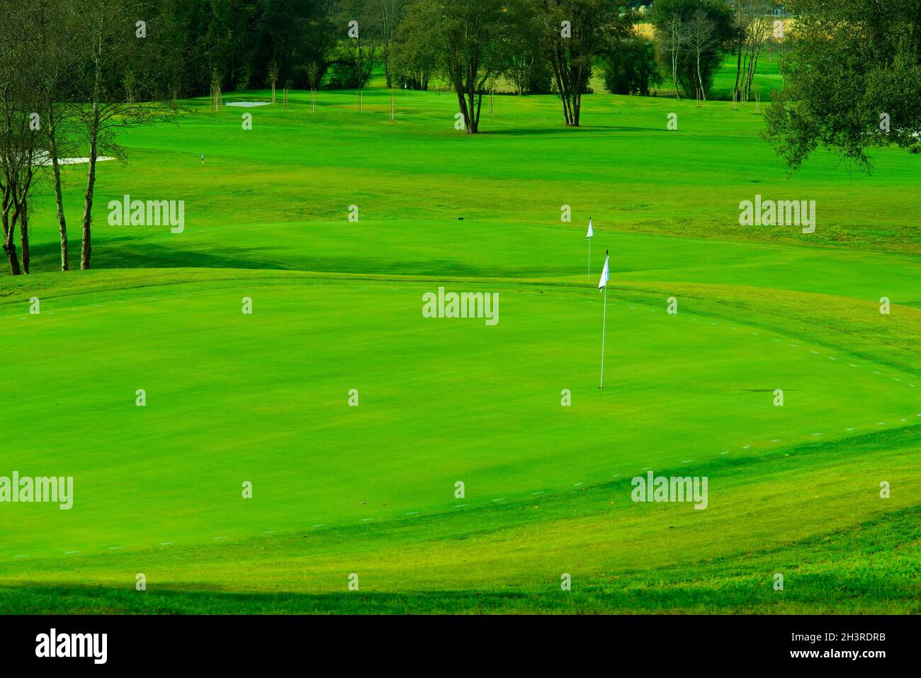 Photograph of two golf greens with their flags, in the background