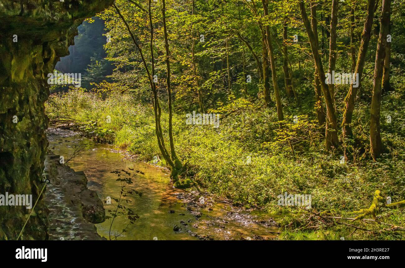 Gauchach Gorge Southern Black Forest, Baden-Wuerttemberg Stock Photo