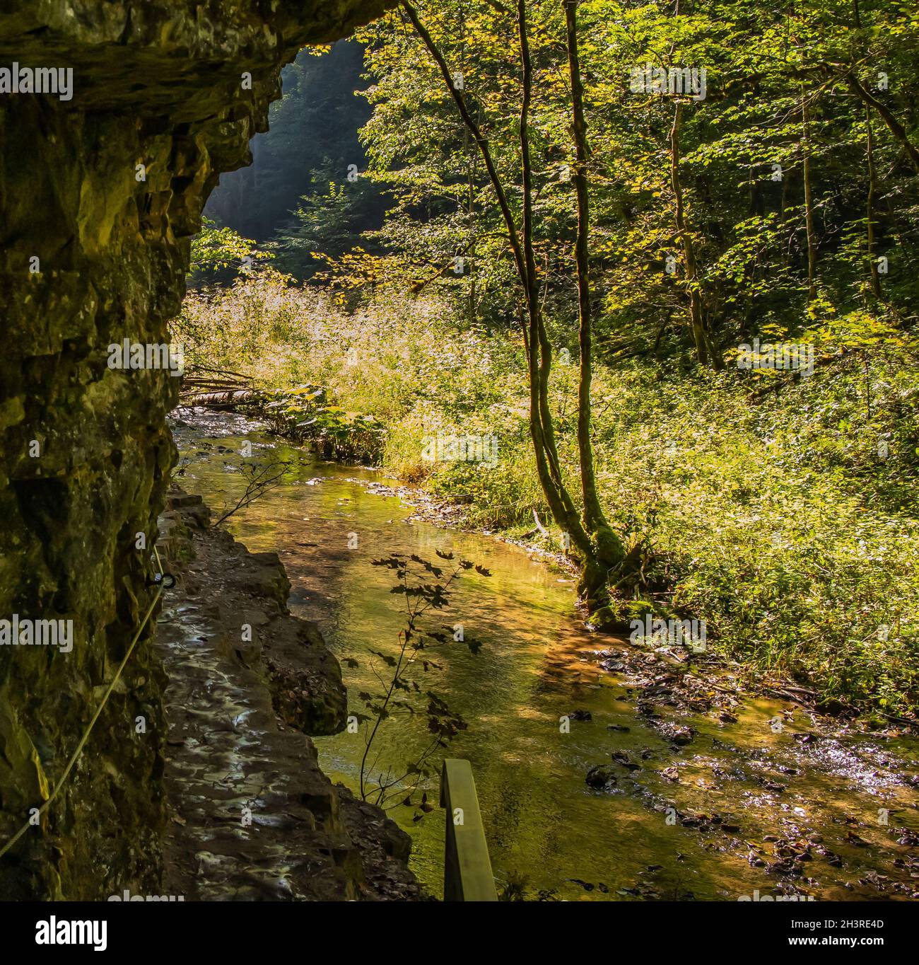 Gauchach Gorge Southern Black Forest, Baden-Wuerttemberg Stock Photo