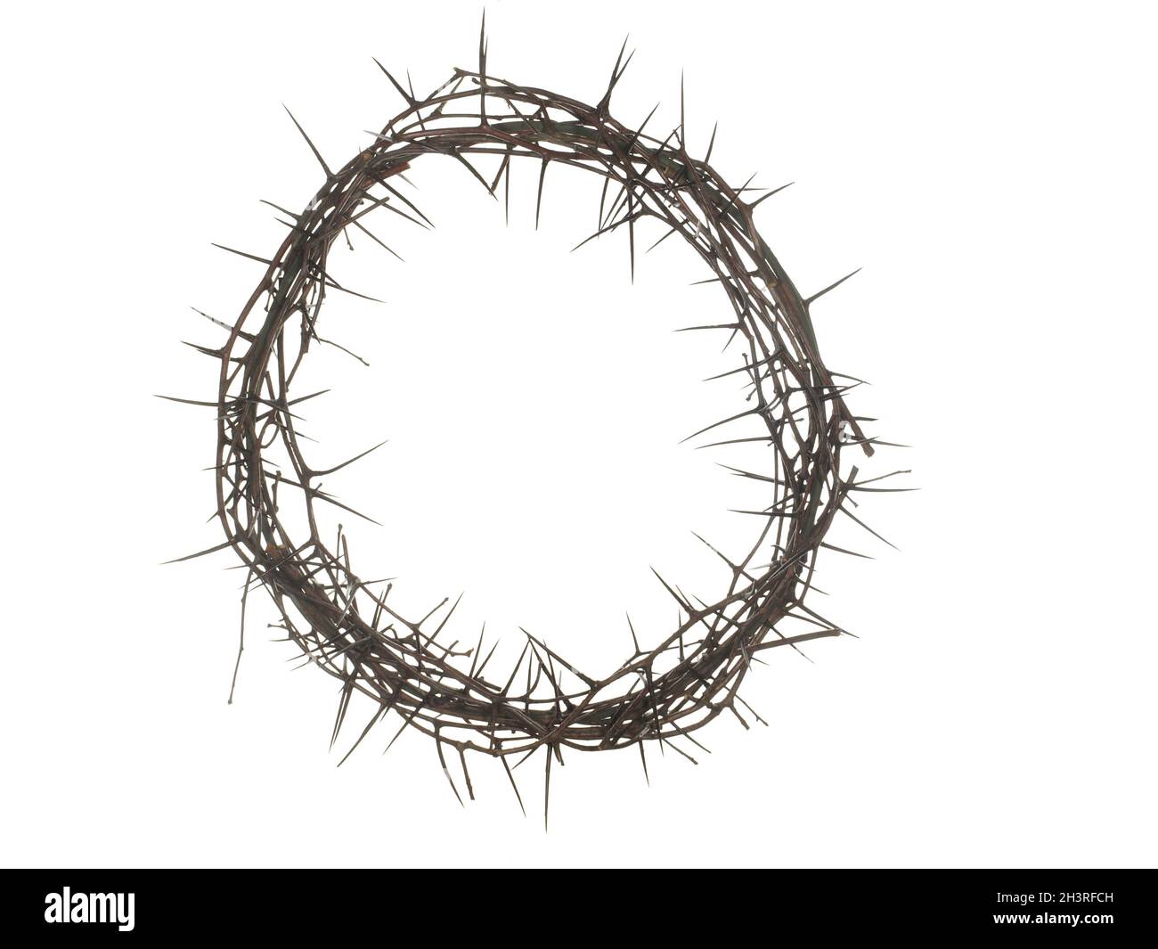 Wreath of dry twigs of thorns with thorns and without leaves isolated on white background. Stock Photo