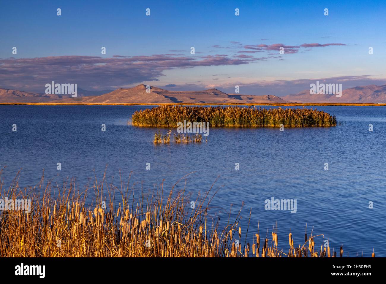 A view of Little Mountain looking north across the waters of Unit 2 at Bear River Migratory Bird Refuge near Brigham City, Box Elder County, Utah USA. Stock Photo