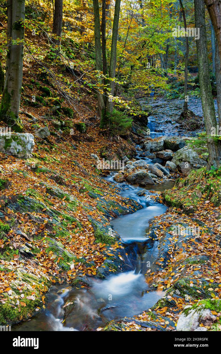 Autumn sunrise in the valley of Ninglinspo, which is classed as an outstanding heritage area of Wallonia. The stream forms rapids around various pools Stock Photo