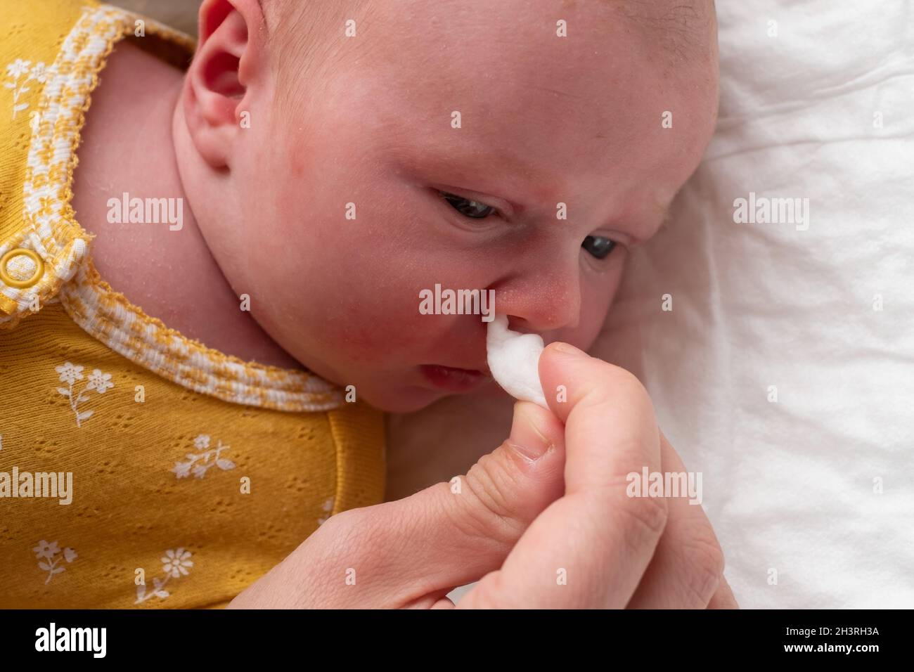 Cleaning newborn nose from boogers with a cotton swab Stock Photo Alamy