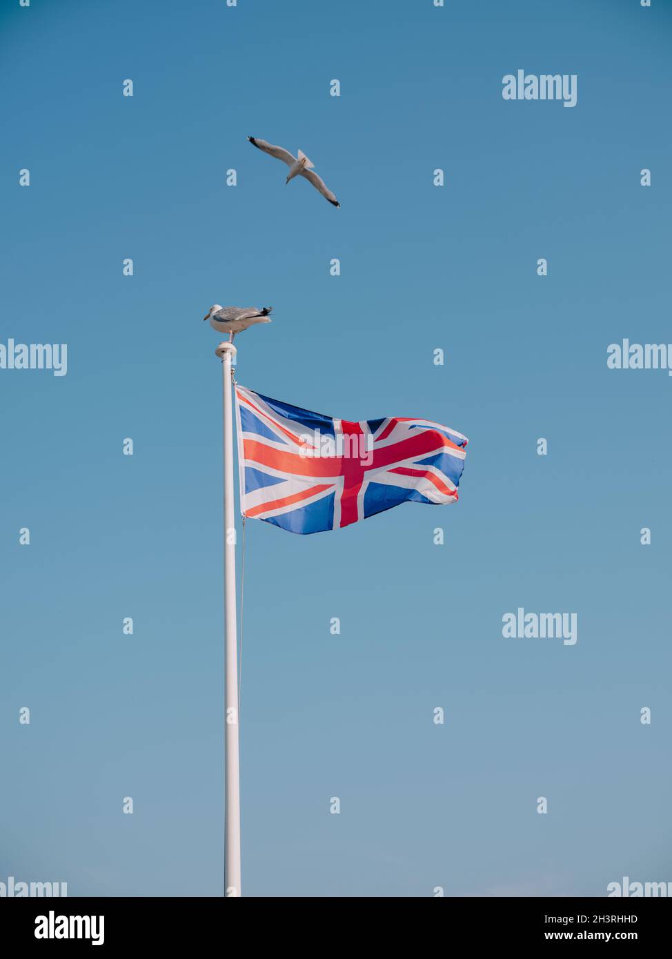 A Union Jack flag flying in a clear blue summer sky with seagulls ...