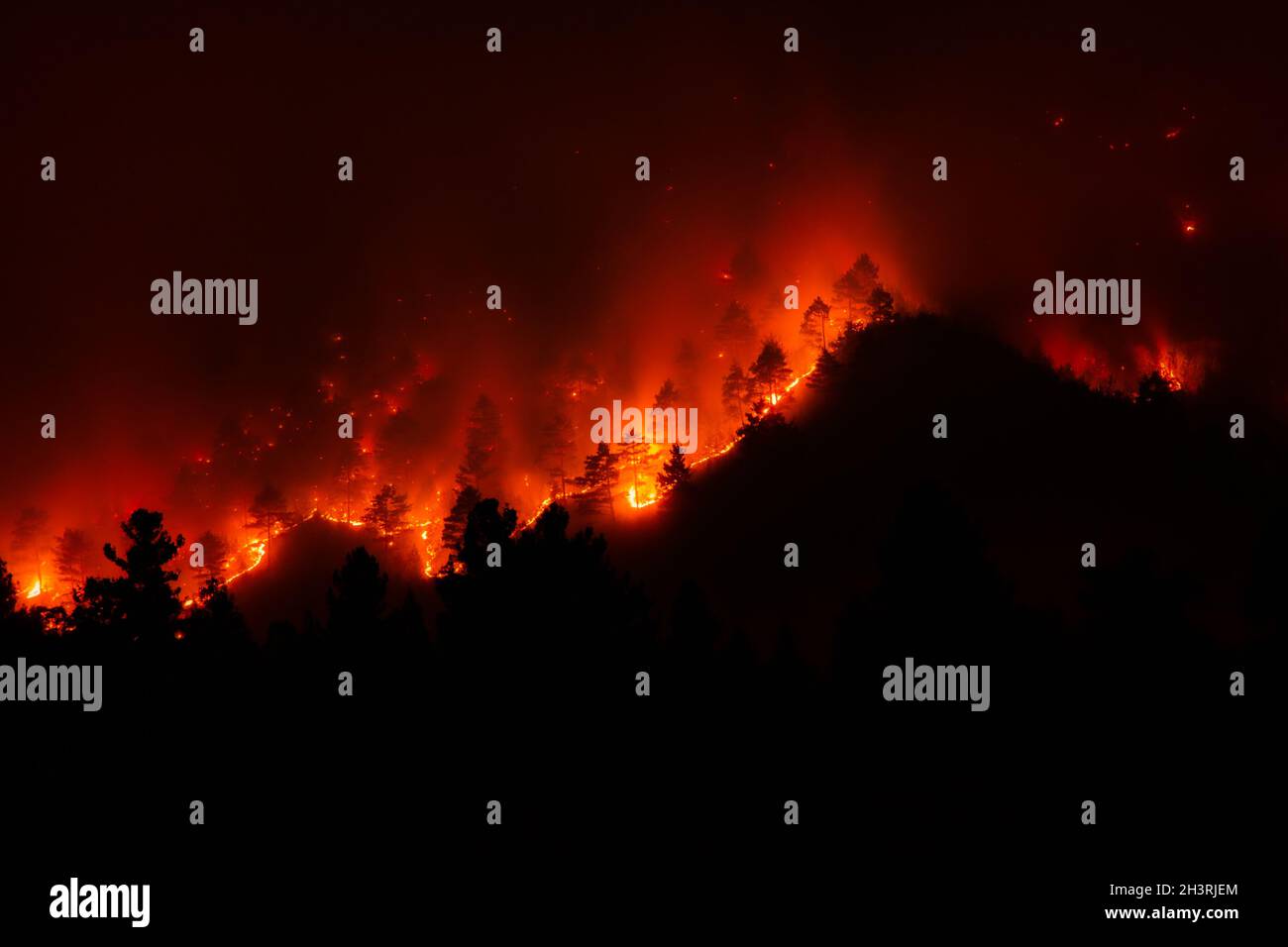 Night view of a forest fire in a steep rocky terrain.Flames, sparks and smoke rise to the sky.Silhouettes of pine trees are visible among the flames. Stock Photo
