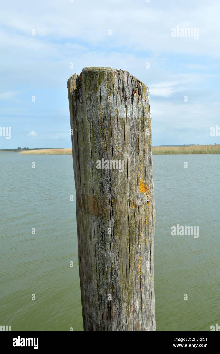 Mooring pile - dalbe for ships, boats, yachts in harbour Stock Photo