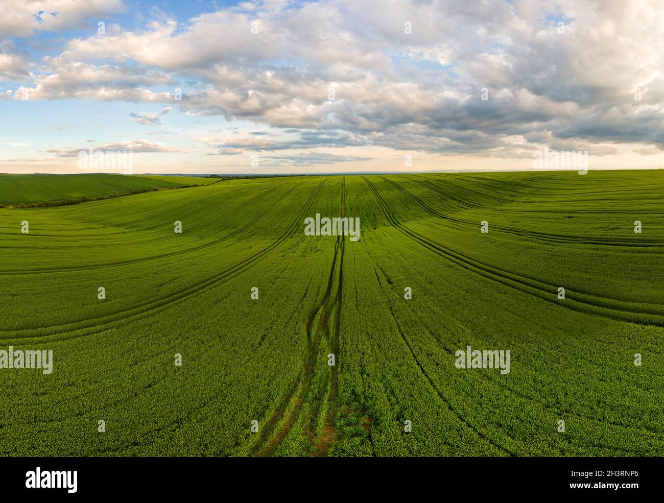 Aerial landscape view of green cultivated agricultural fields with ...