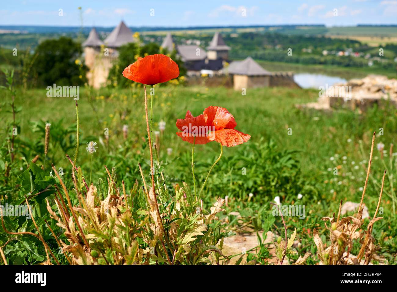 Two poppy flowers and an old fortress by the river Stock Photo