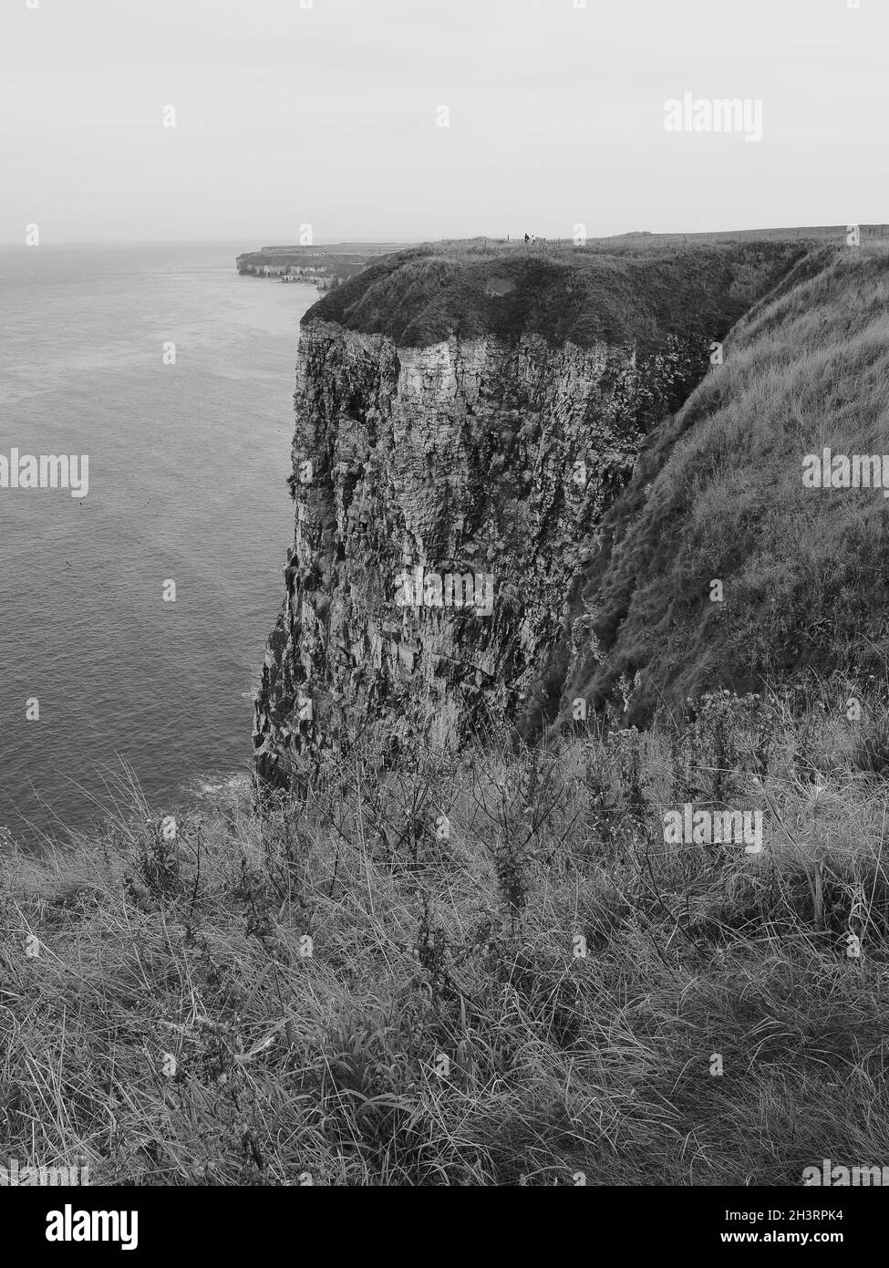 " BEMPTON CLIFFS " , " BIRD " , " SANCTUARY " , " SEASCAPE Stock Photo