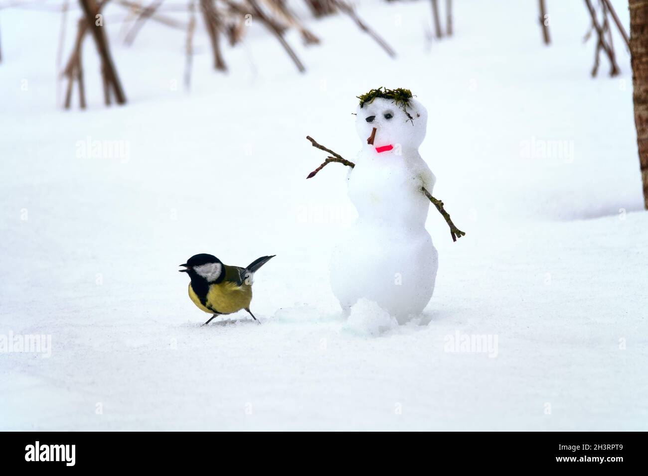 Spring story about a snowman and a chickadee Stock Photo