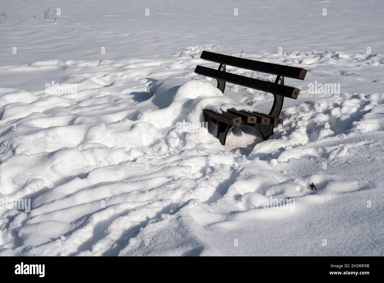 Bench in winter, Gewissenruh, Wesertal, Weser Uplands, Weserbergland, Hesse, Germany Stock Photo