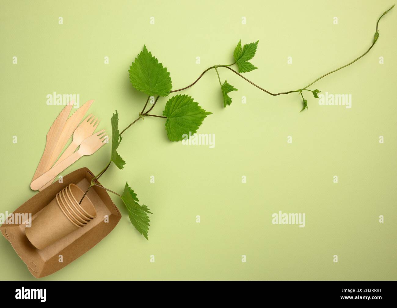 Paper plates and disposable cups. The concept of avoiding plastic ...