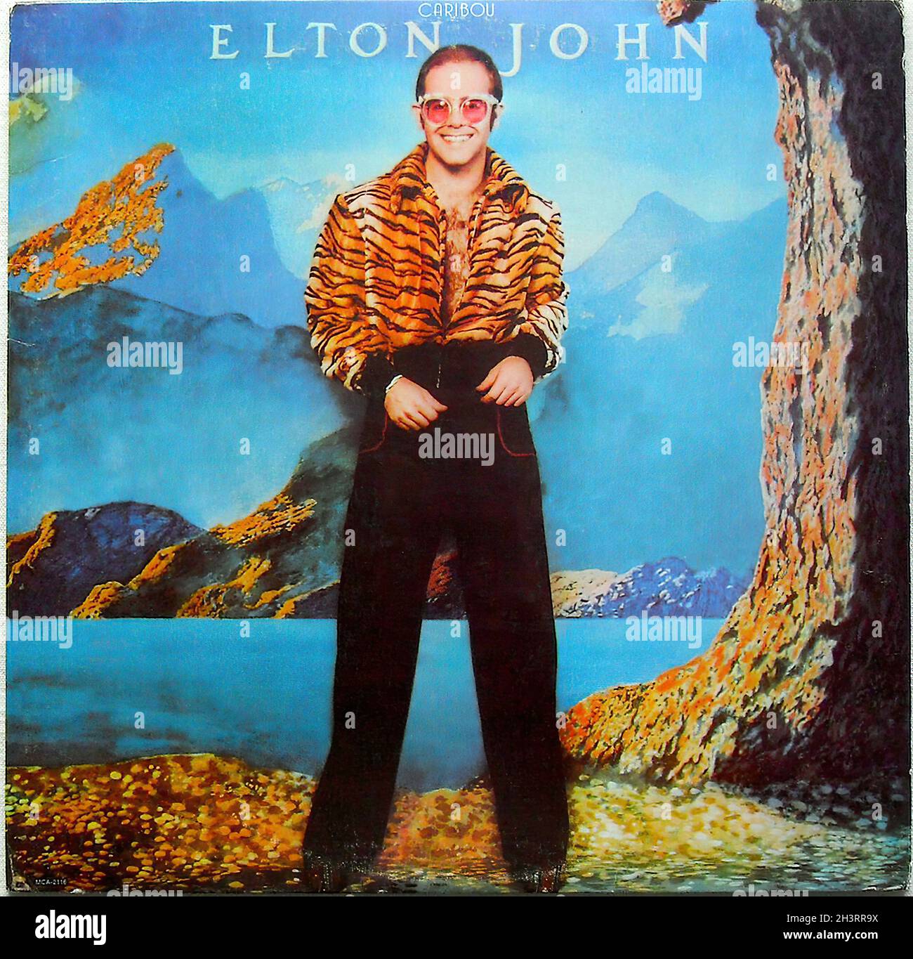 Bags  Rare Elton John Real Caribou Album Record Pebble Leather