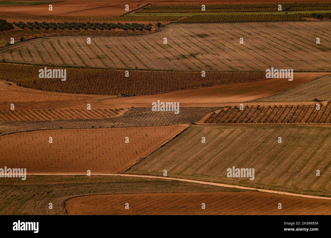 Aerial view of landscape of vineyard fields in Castilla La Mancha, Spain Stock Photo