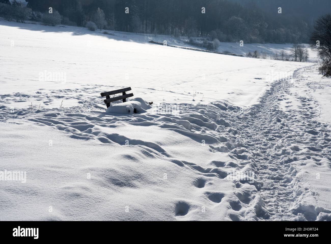 Biking way R1, bench in winter, Gewissenruh, Wesertal, Weser Uplands, Weserbergland, Hesse, Germany Stock Photo