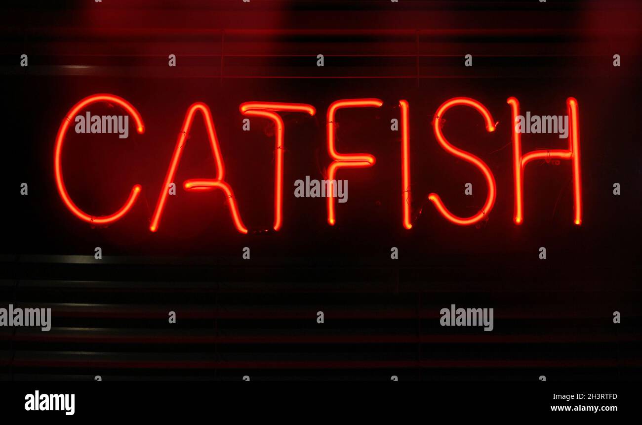 Photograph Composite Neon Seafood Restaurant Signs Catfish Stock Photo
