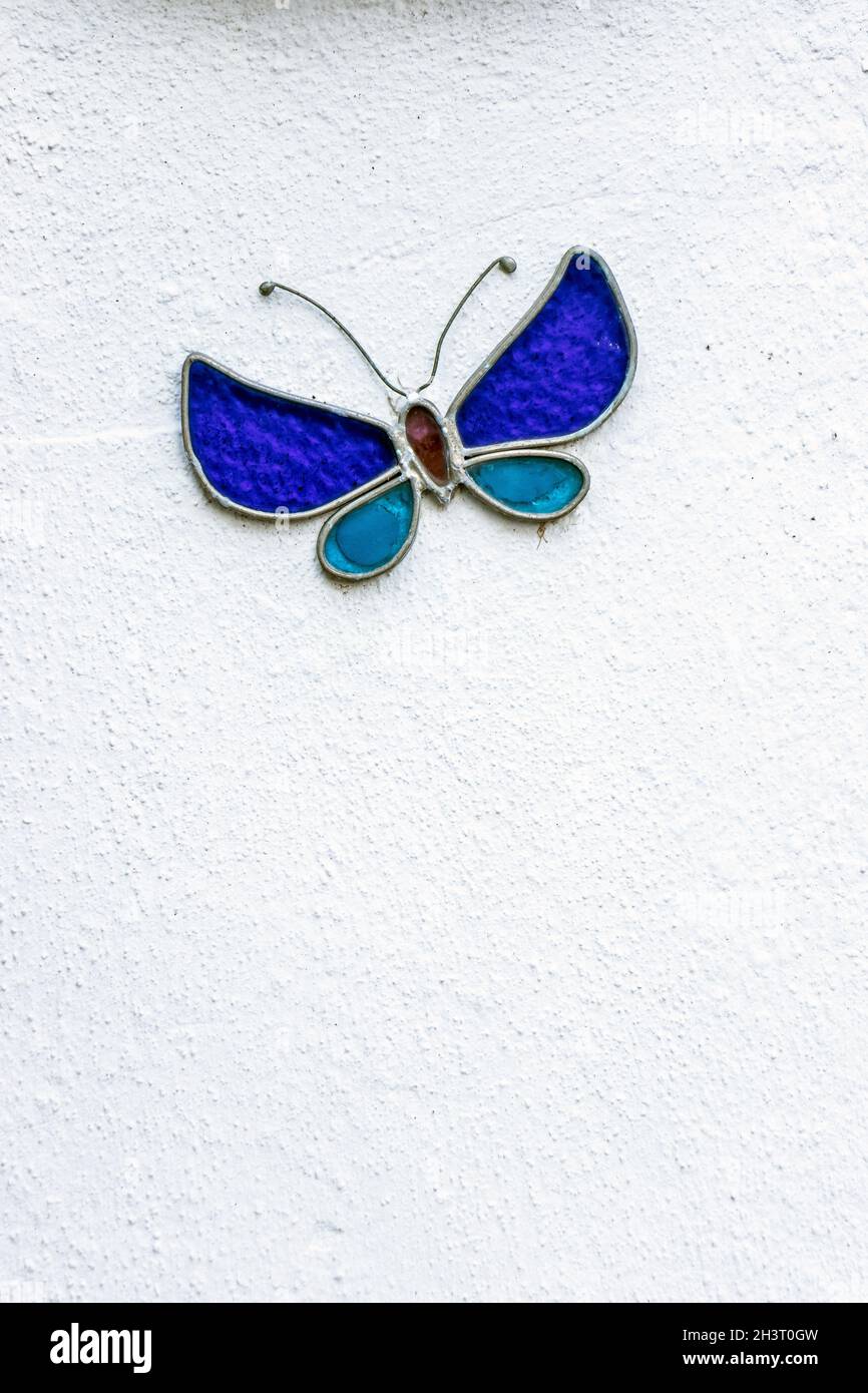 on white painted brick wall Stock Photo