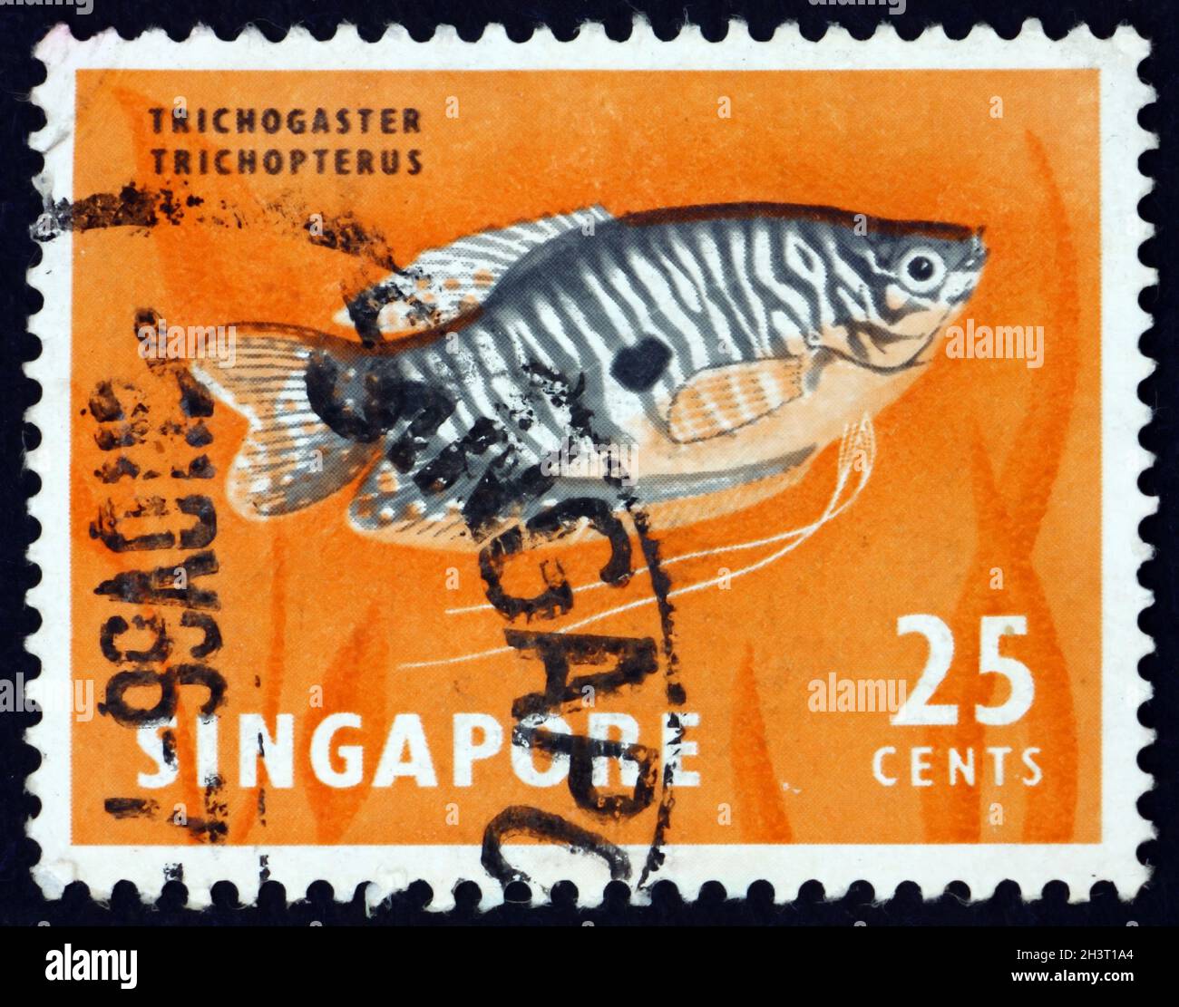 SINGAPORE - CIRCA 1962: a stamp printed in Singapore shows the three spot gourami, trichogaster trichopterus, Malayan fish, circa 1962 Stock Photo