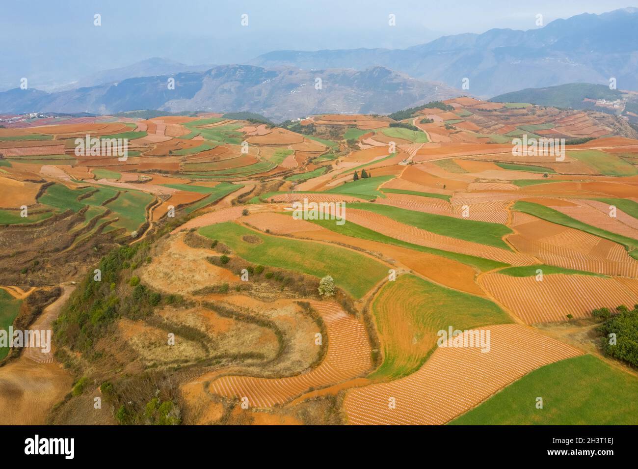 Aerial view of yunnan red land Stock Photo