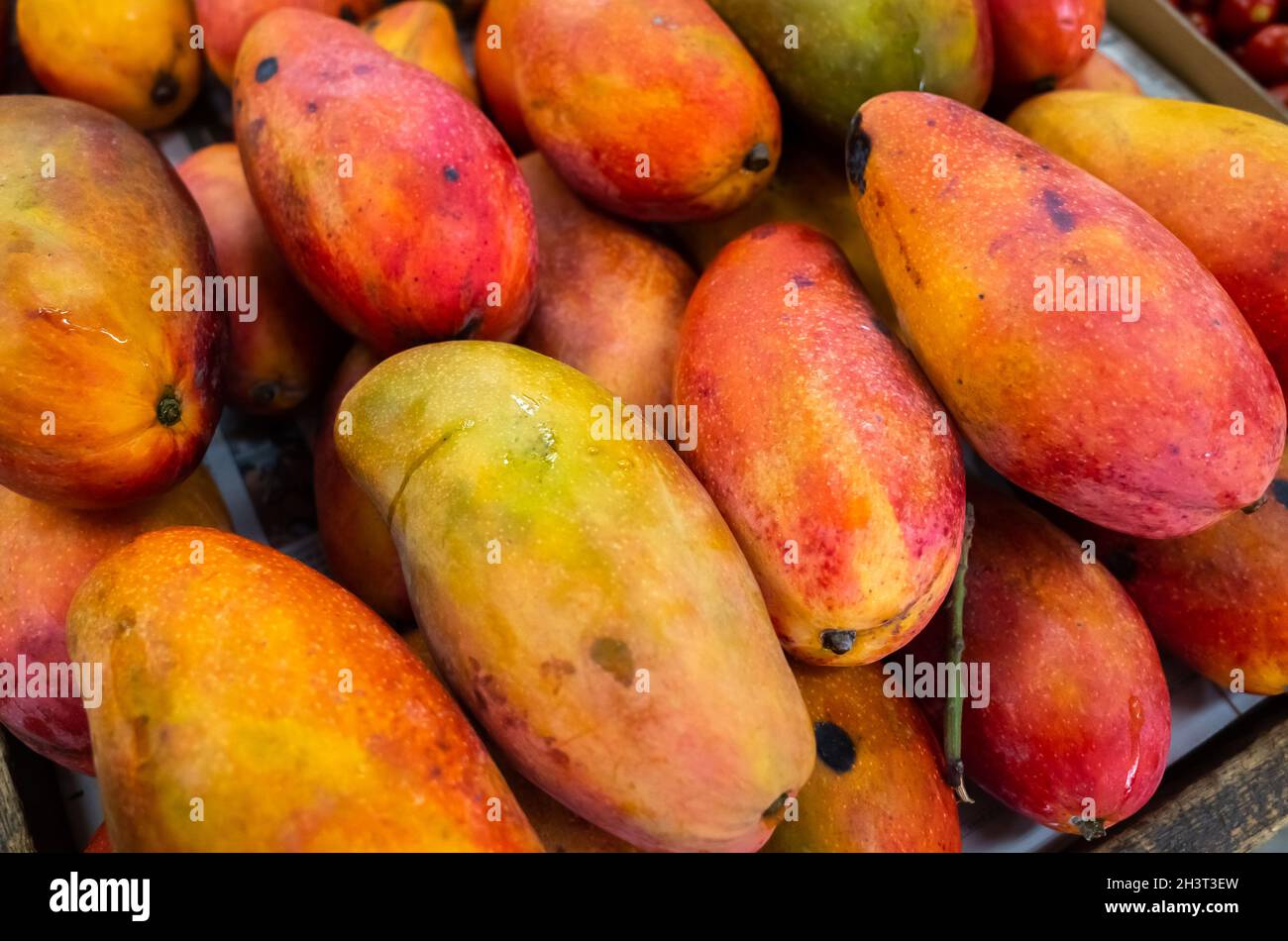 Red stacks of mango fruits Stock Photo - Alamy