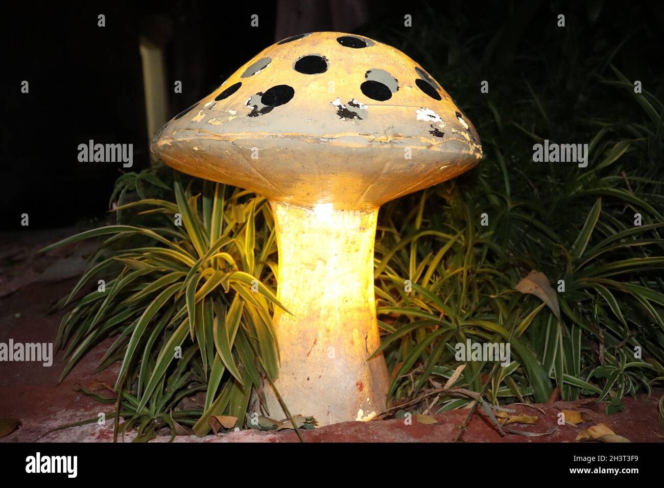 ARTIFICIAL MUSHROOM DECORATION PIECE IN GARDEN NIGHT PHOTOGRAPHY LIGHTS IN MUSHROOM GARDEN