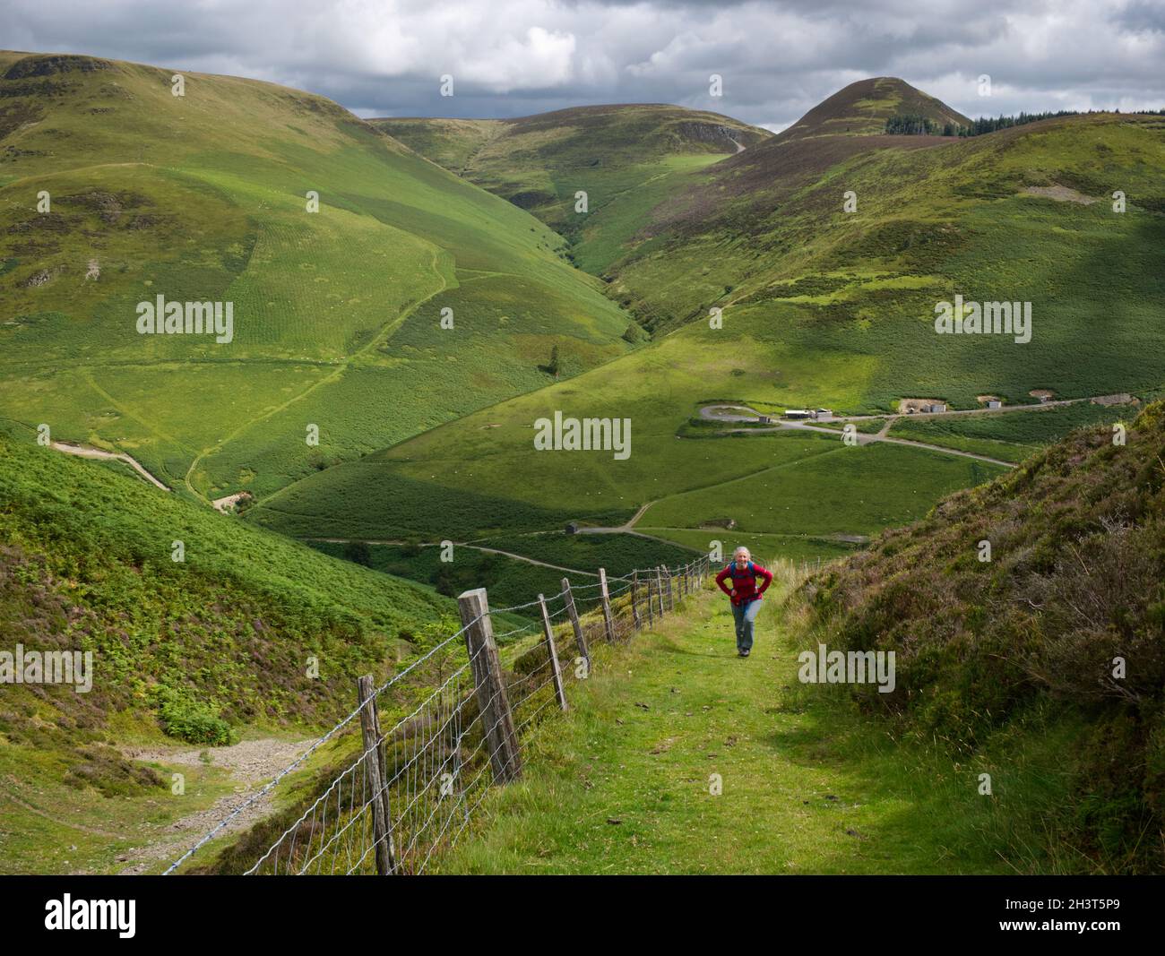 Radnor Forest - a female walker ascends a bridleway out of Harley Dingle, with the cone of The Whimble prominent across the valley Stock Photo