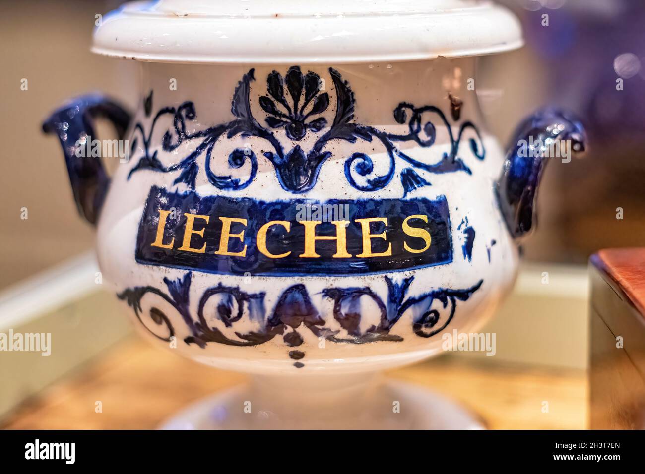 Toronto, Ontario, Canada-November 15, 2019: Leech Jar. The Royal Ontario Museum will open the 'Bloodsuckers: Legends to Leeches' exhibit to the public Stock Photo