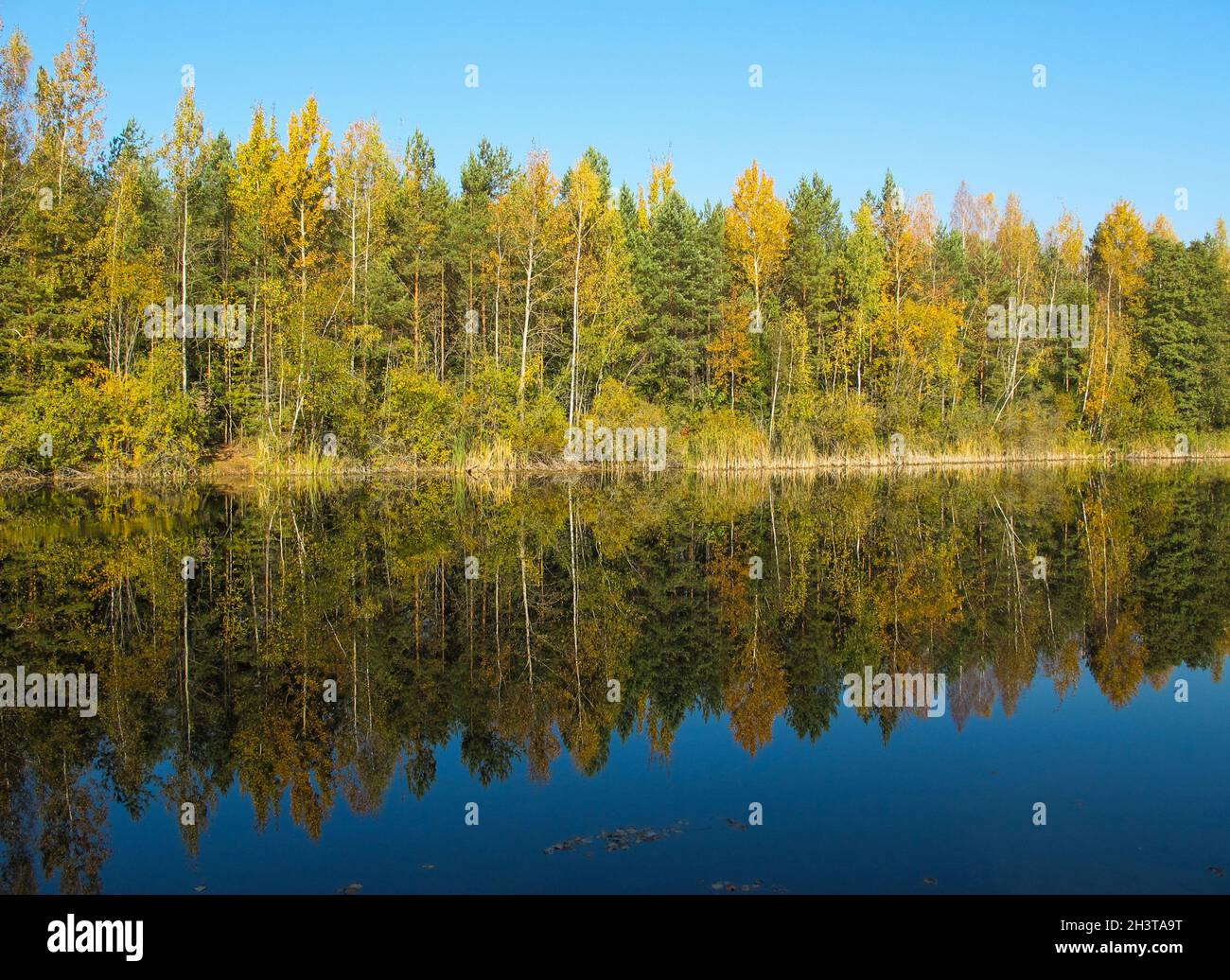 Autumn forest with a beautiful lake in sunny day. Bright colorful trees ...