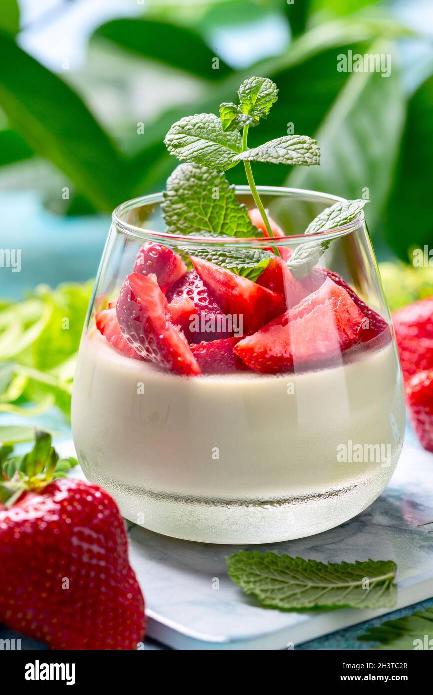 Panna cotta with coconut cream, matcha tea and ripe strawberries. Stock Photo