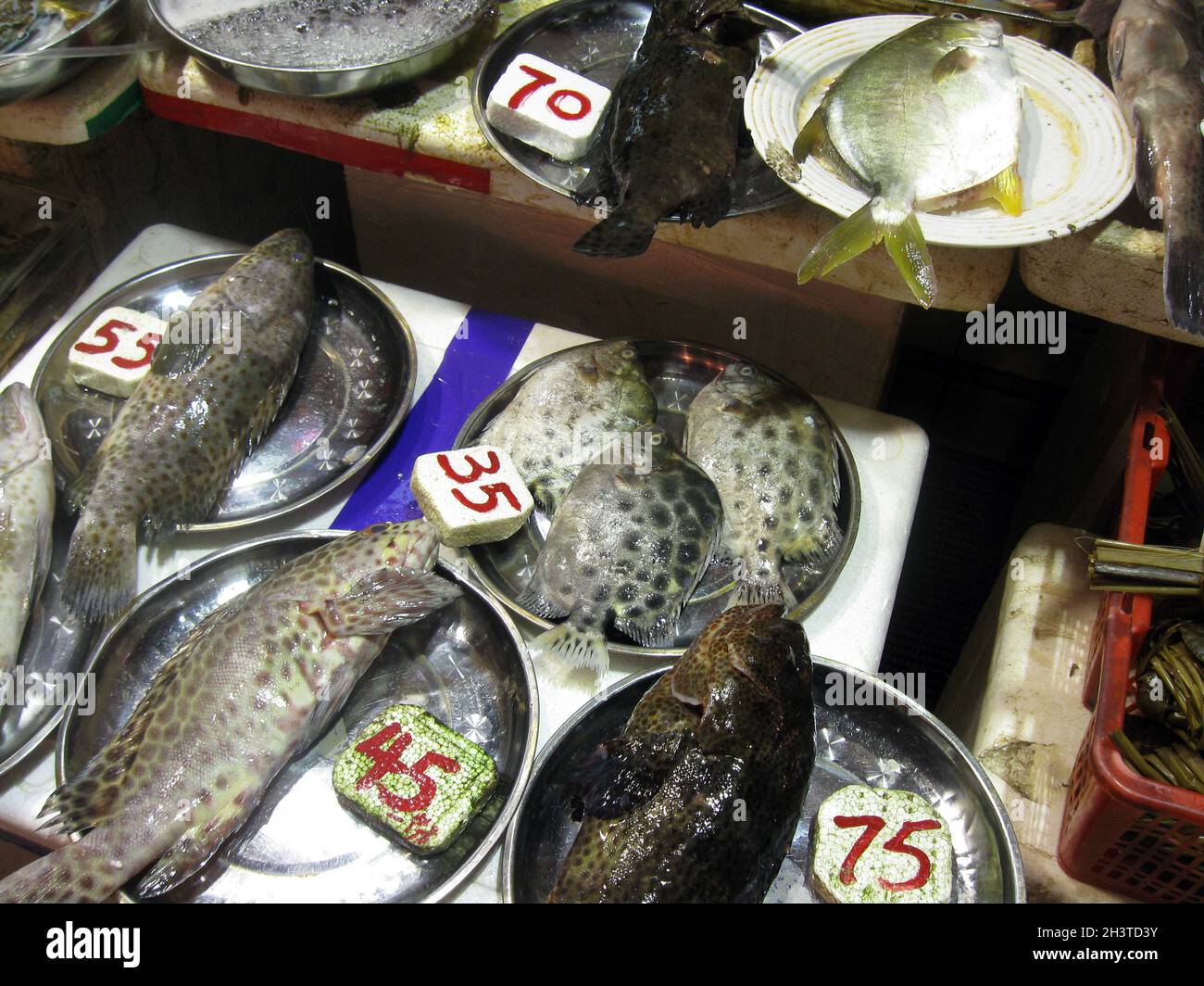 Fishes for sale (Scats, Groupers, Carangidae) at chinese wet market, New Territories Hong Kong Stock Photo