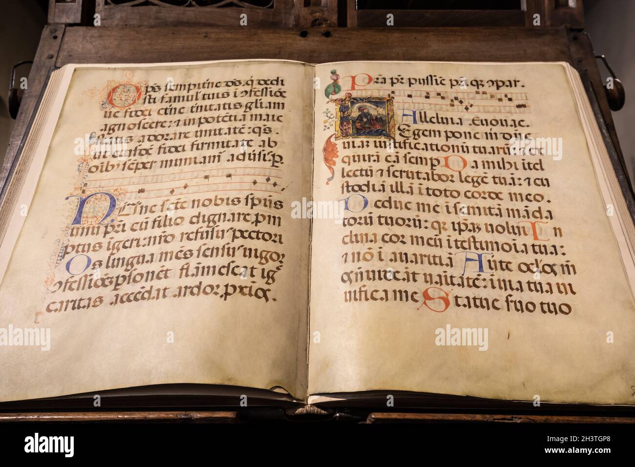 Decorative manuscript art hi-res stock photography and images - Alamy