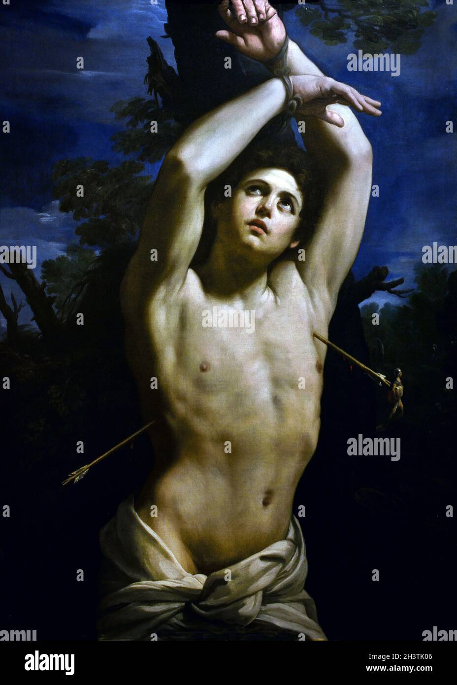 St. Sebastian by Reni Guido (1575-1642)  Italy, Italian, ( Saint Sebastian was an early Christian saint and martyr.  he was killed during the Diocletianic Persecution of Christians. ) Stock Photo