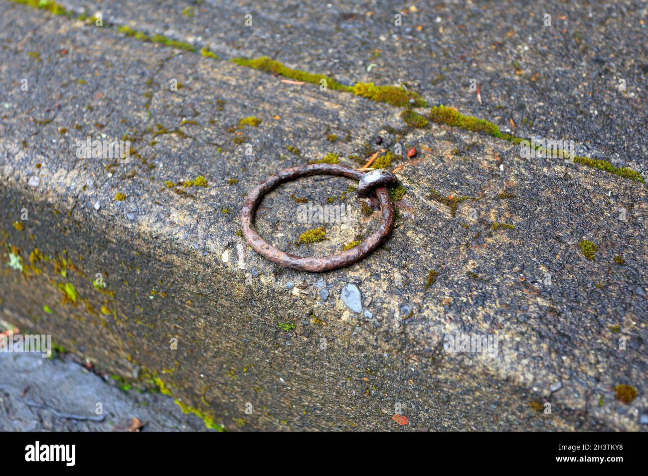 A curbside horse tethering ring, or ring bolt, Portland, Oregon. Stock Photo