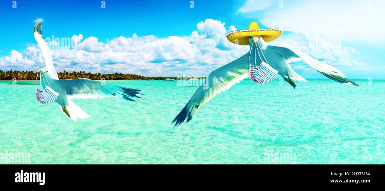 Seagulls with corona virus mask flying over the beach Stock Photo
