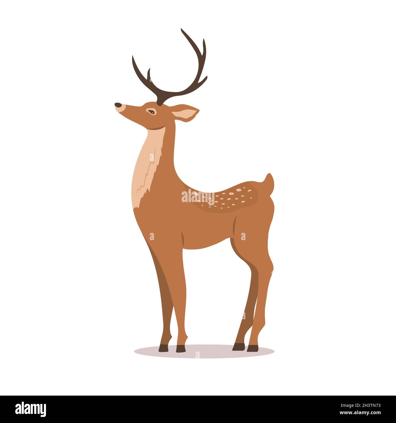 Veado Pequeno Deitado No Capim Com Ramos De Arcos Plantas Lanternas Lança-fogo  Desenho Incolor De Linha. Fawn Selvagem Descansando Ilustração Stock -  Ilustração de divertimento, fofofo: 227898680