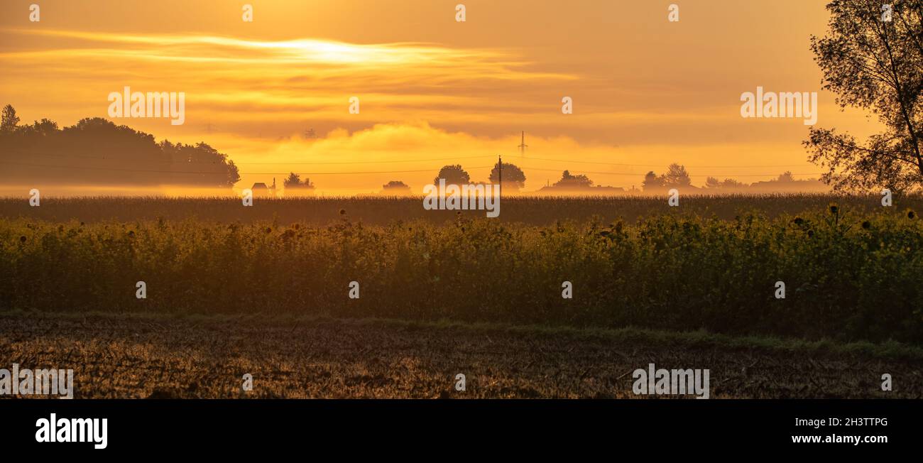 Beautiful sunset over the agricultural fields Stock Photo