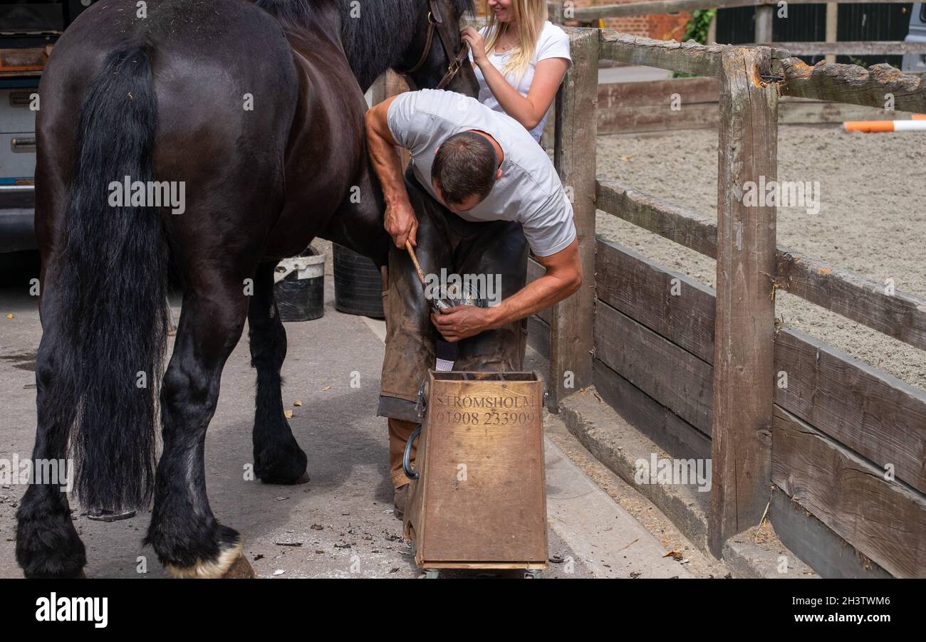 Farrier blacksmith changing horse shoe hammper Stock Photo Alamy