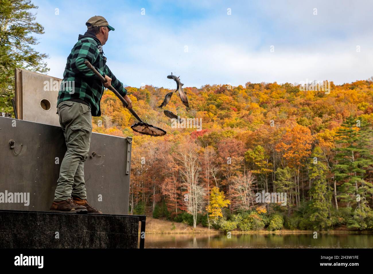 Marlinton, West Virginia - The West Virginia Department of Natural Resources stocks rainbow trout in Watoga Lake in Watoga State Park. The state stock Stock Photo