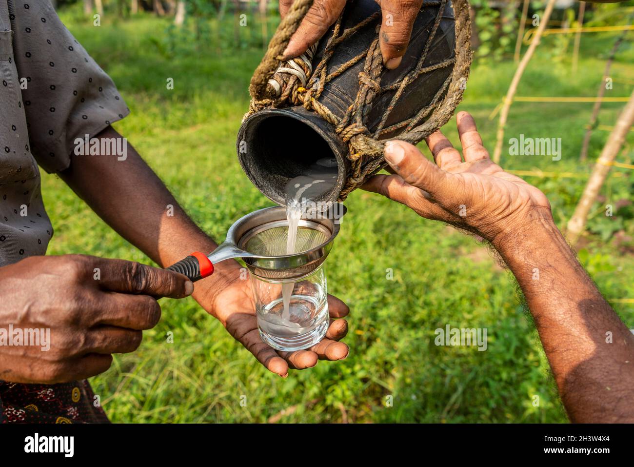 Toddy container hi-res stock photography and images - Alamy