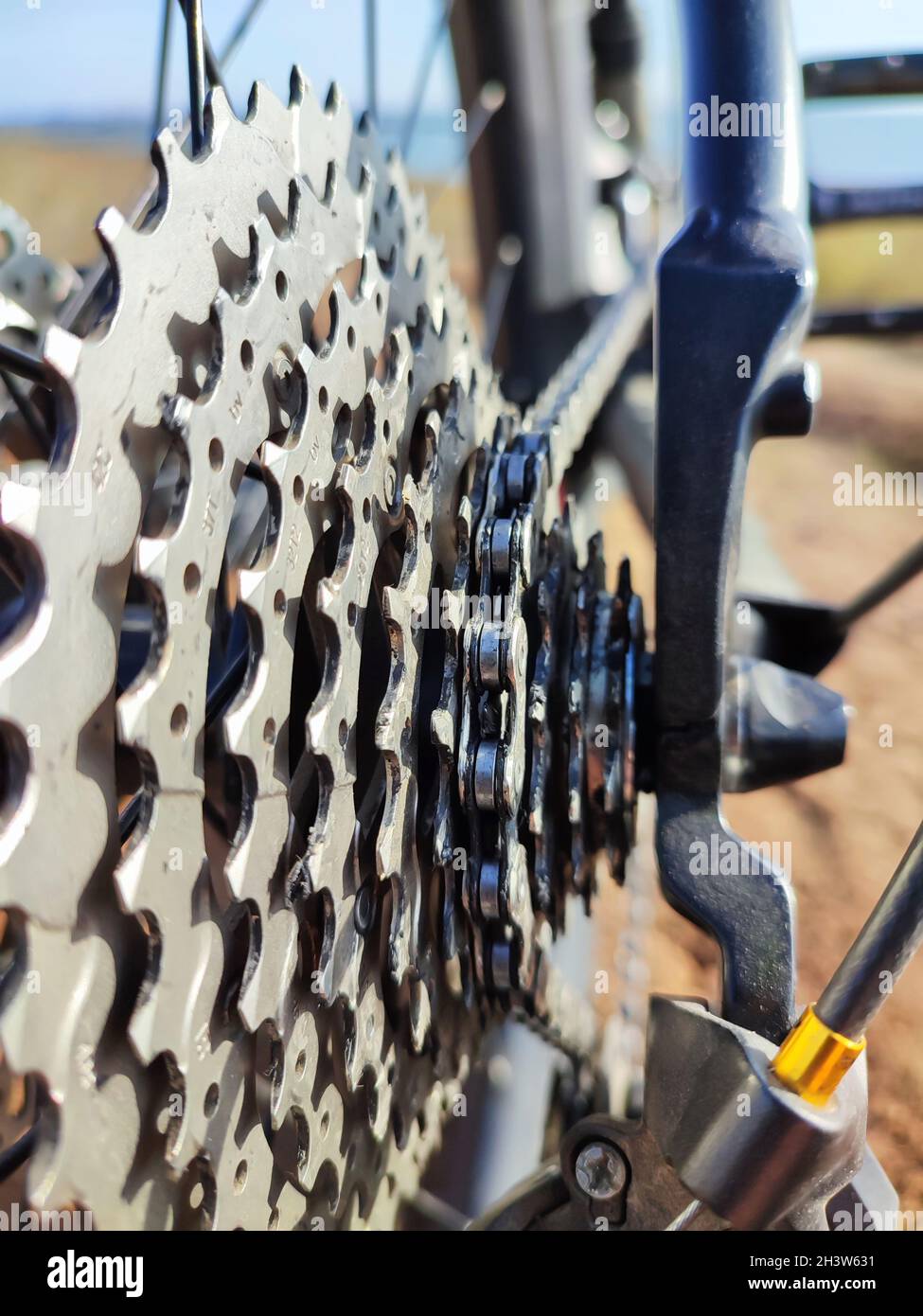 Parts of bicycle cassette, chain, rear derailleur, wheel, fork close