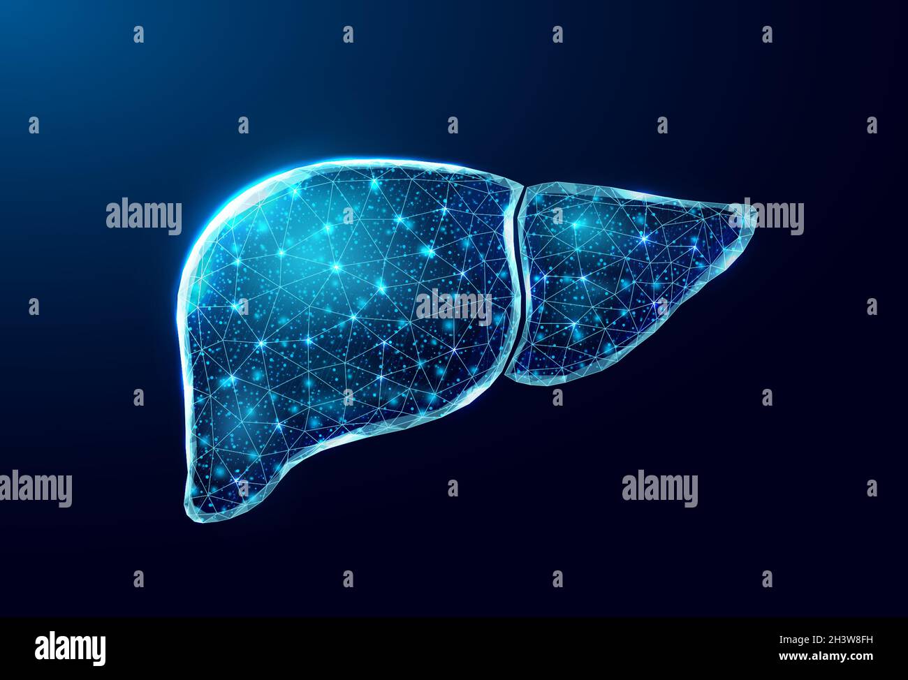 Human liver. Wireframe low poly style. Concept for medical, treatment ...