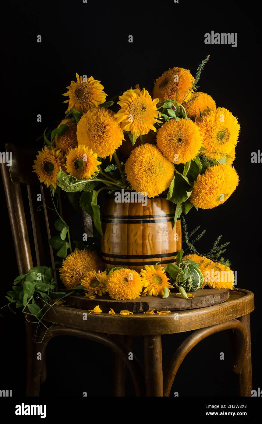 Still life of beautiful decorative sunflowers in a vase on a chair on a ...