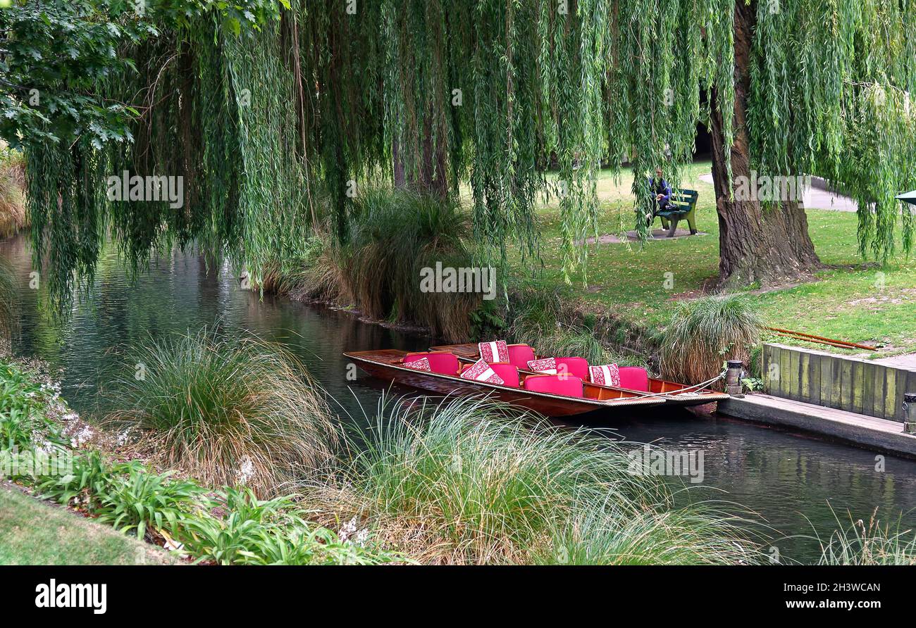 punting boat, tied up; waiting; recreation; ride; colorful cushions, Avon River; weeping willow tree; serene, peaceful, narrow waterway, South Island, Stock Photo