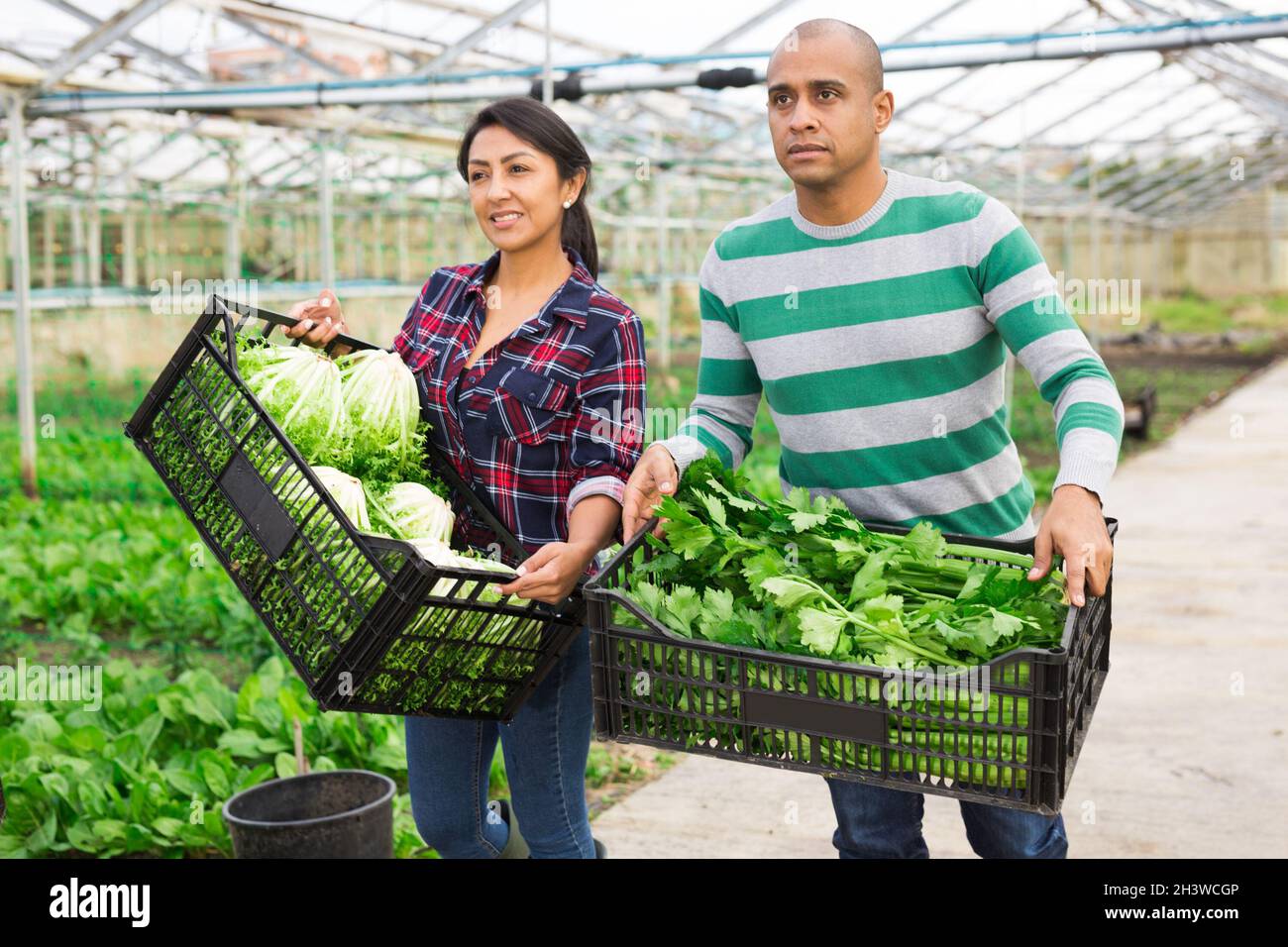 Positive man woman farmers hi-res stock photography and images - Alamy