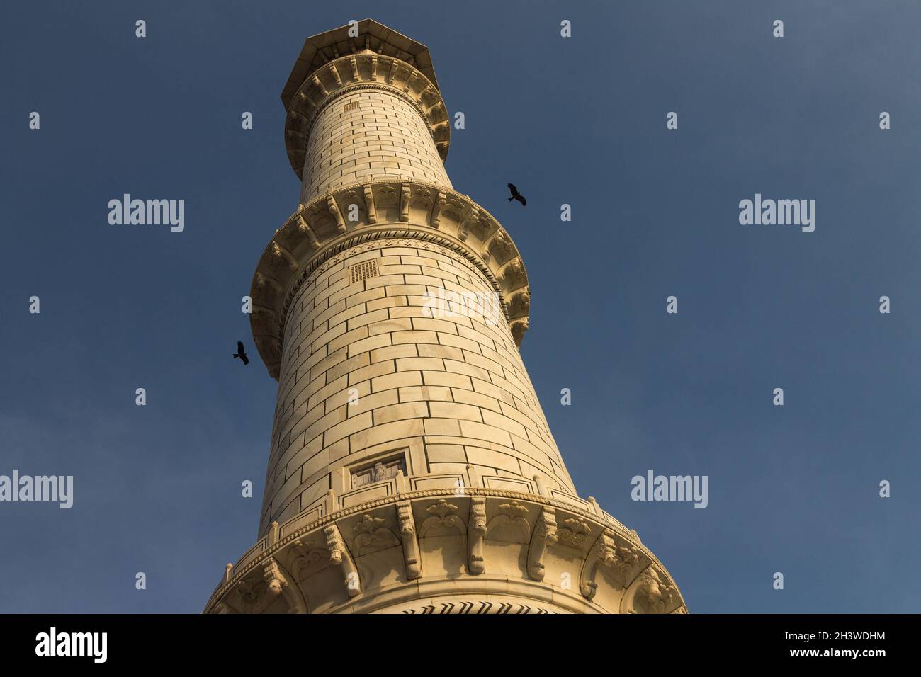 The Taj Mahal's minaret with two birds Stock Photo