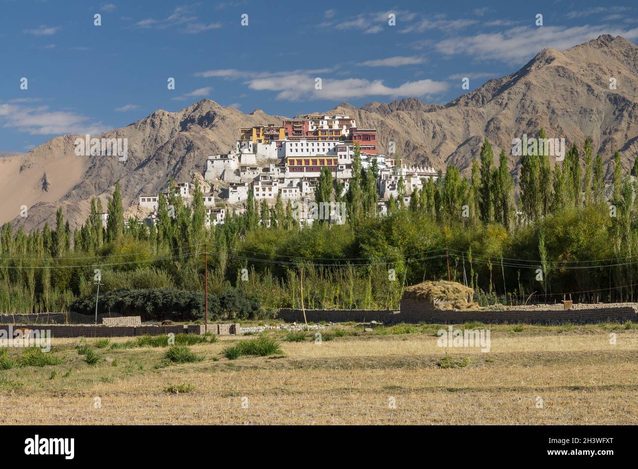 Thikse Gompa seen from a distance Stock Photo