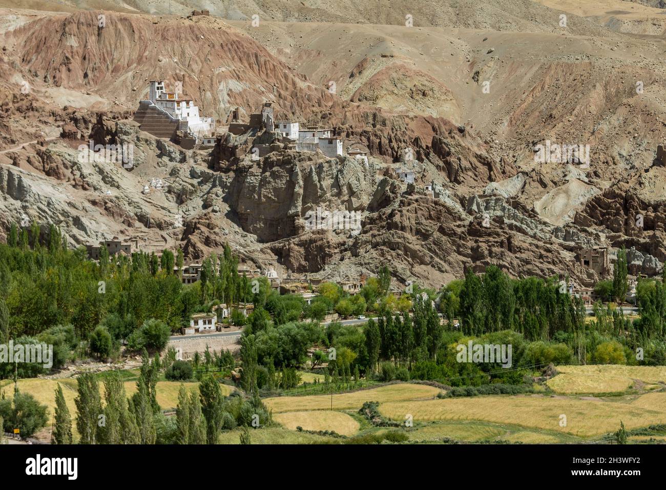 Basgo village at the harvesting time and the monastery above Stock Photo